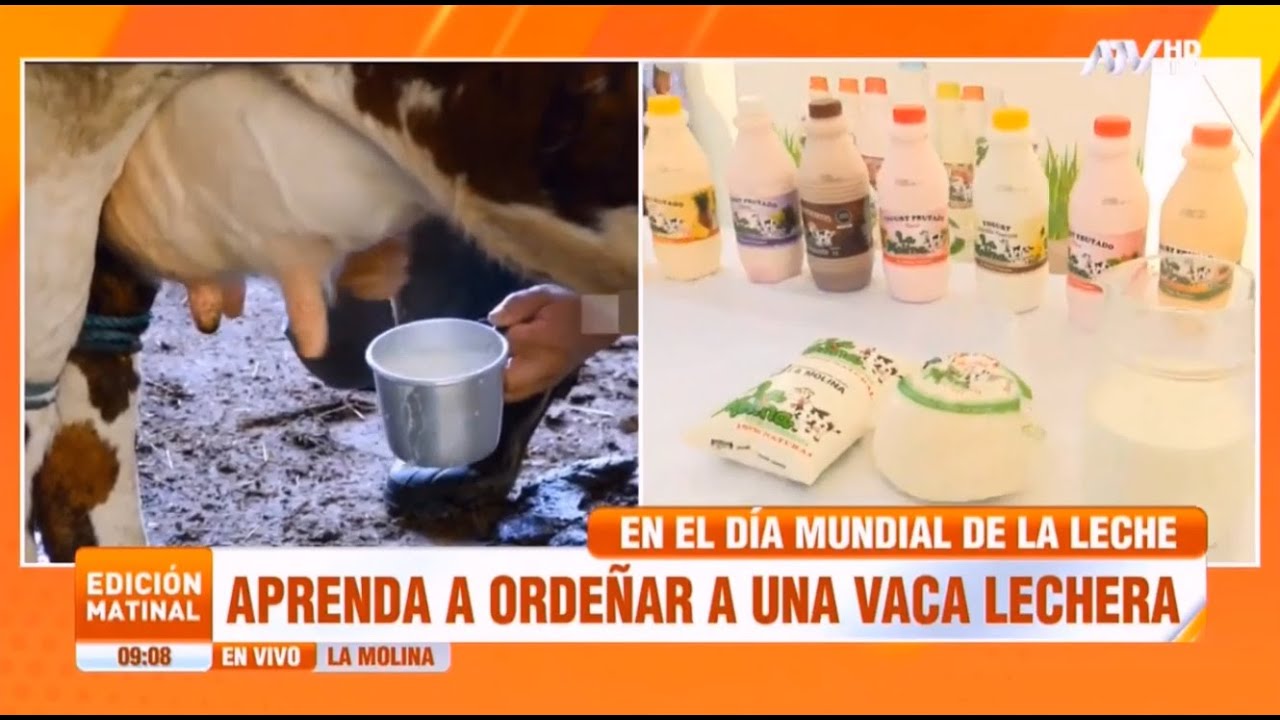 ATV NOTICIAS: Día Mundial de la Leche en la Universidad Nacional Agraria La Molina