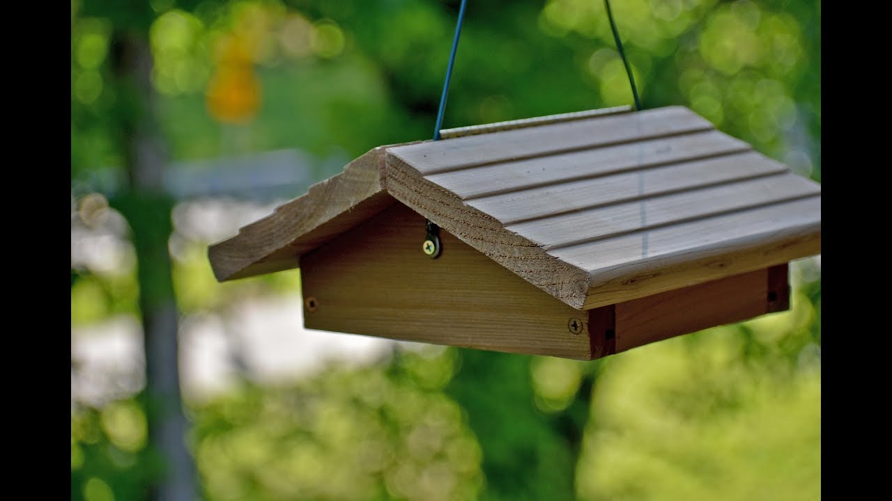 Wild Bird Center's Upside Down Suet Feeder