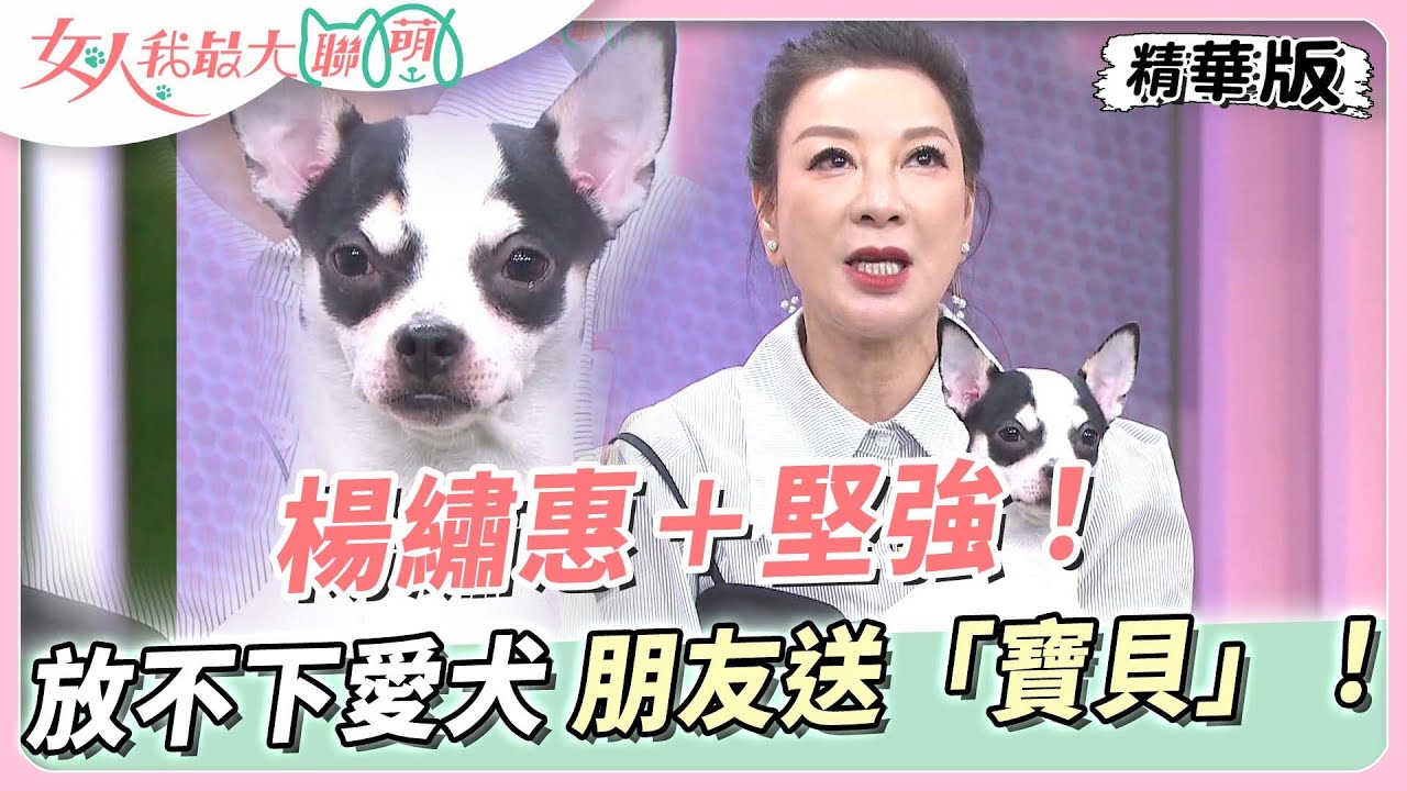 楊繡惠＋堅強！放不下離世愛犬　朋友送「寶貝」安慰！女人我最大 20230821