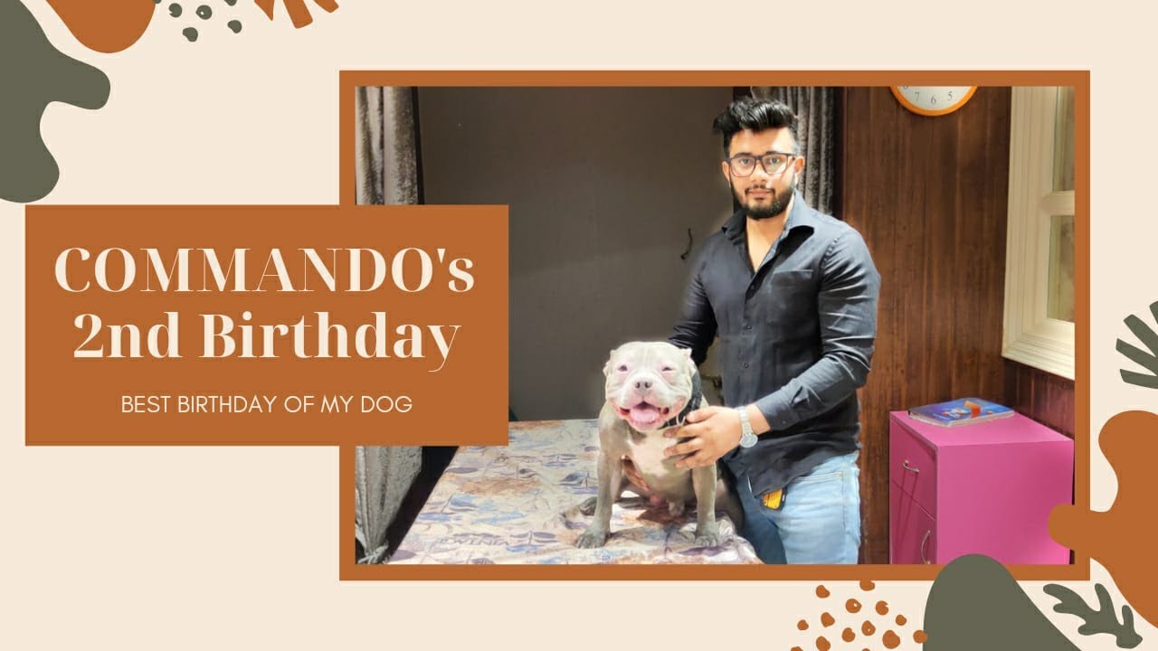5 STAR HOTEL FOR DOGS IN INDIA | CRITTERATI DOG HOTEL | VISHESH VLOGS | VLOG 5