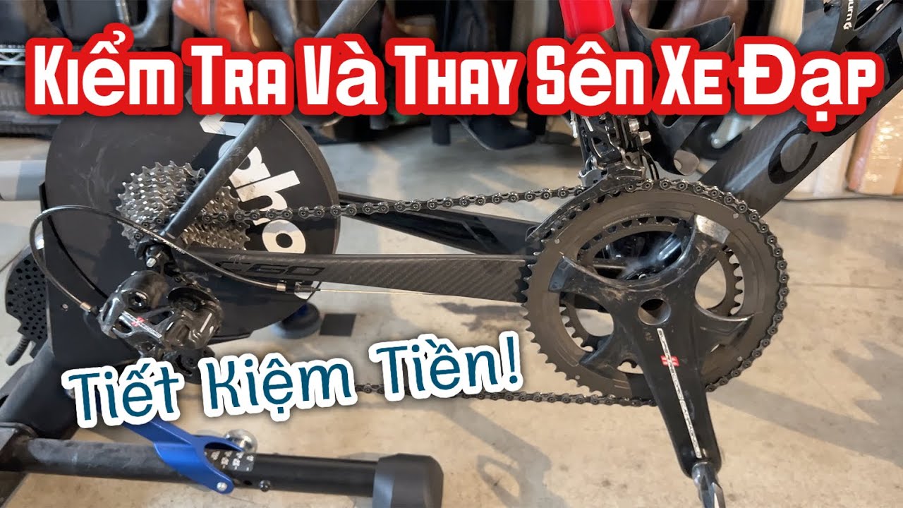 Kiểm Tra Và Thay Sên Xe Đạp, Rất Cần Thiết Để Tiết Kiệm Tiền