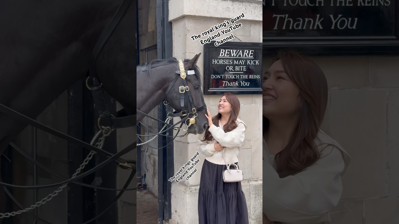 Majestic Horse: A Portrait of Regal Elegance 🐴