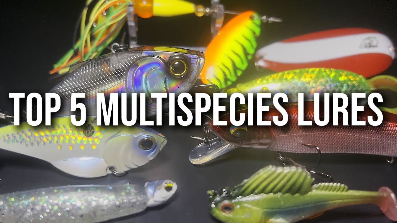 Top 5 MULTISPECIES Fishing Lures! (FRESHWATER)