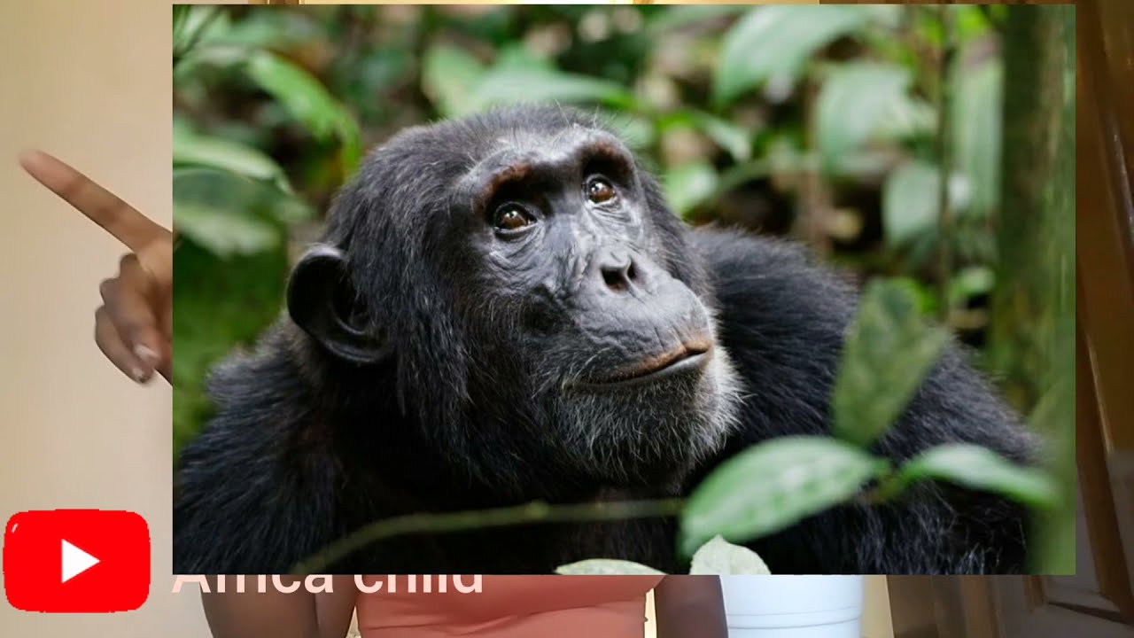 Best and beautiful places to visit in uganda/#visituganda #Thisisuganda/Africa #wodamaya