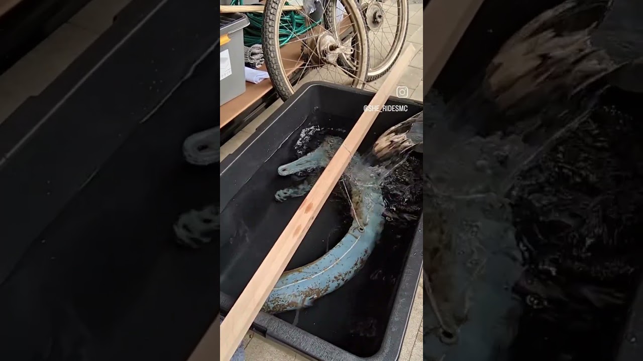 Trying electrolysis for rust removal for the first time. Here is what happened 😮 #shorts
