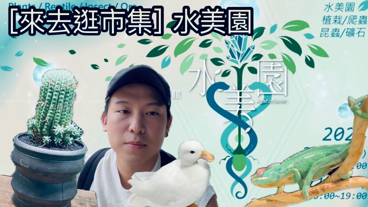 ［來去逛市集］水美園，一次滿足三種需求😍這次不只逛塊根，爬蟲我也要逛爆。水美園/塊根植物/龍舌蘭/豹紋守宮/肥尾守宮