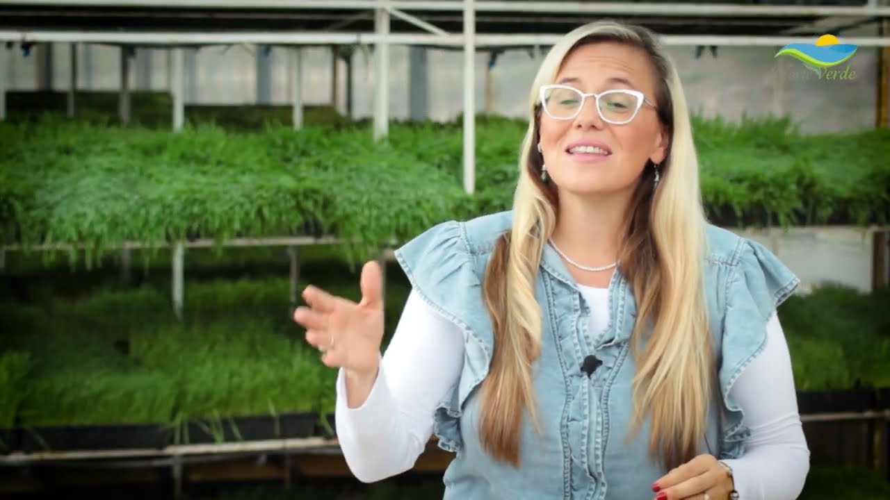 🌱💧✨ Transformando la agricultura. Norte Verde la revolución del forraje hidropónico.