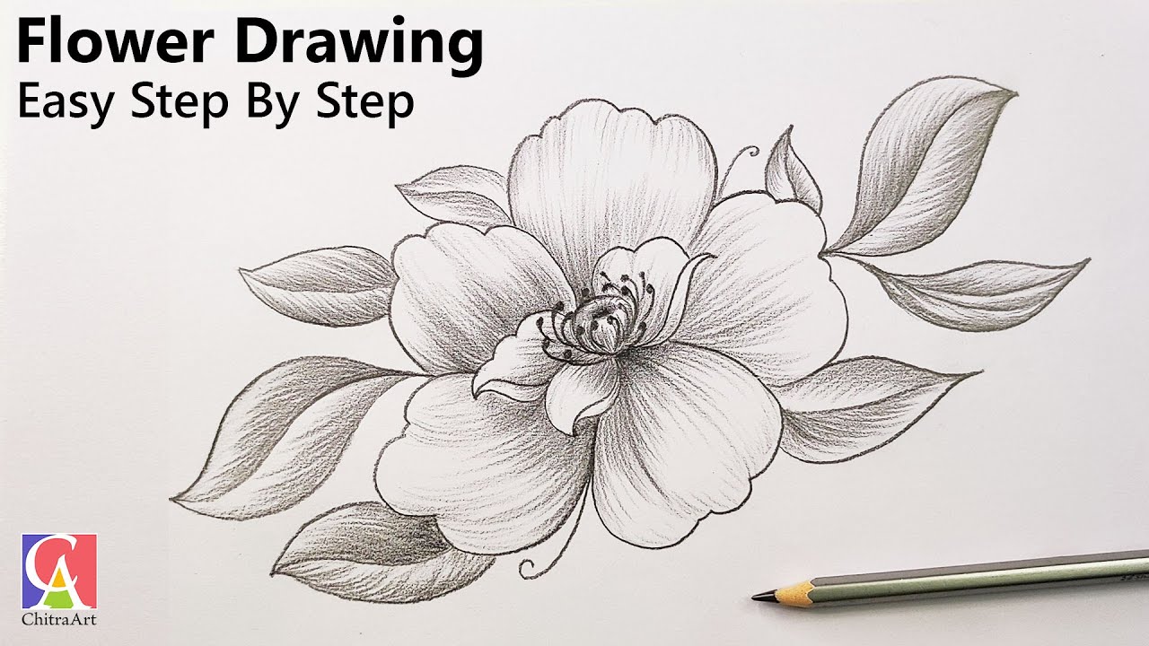 Flower Drawing Easy with Pencil Shading | How To Draw Flowers
