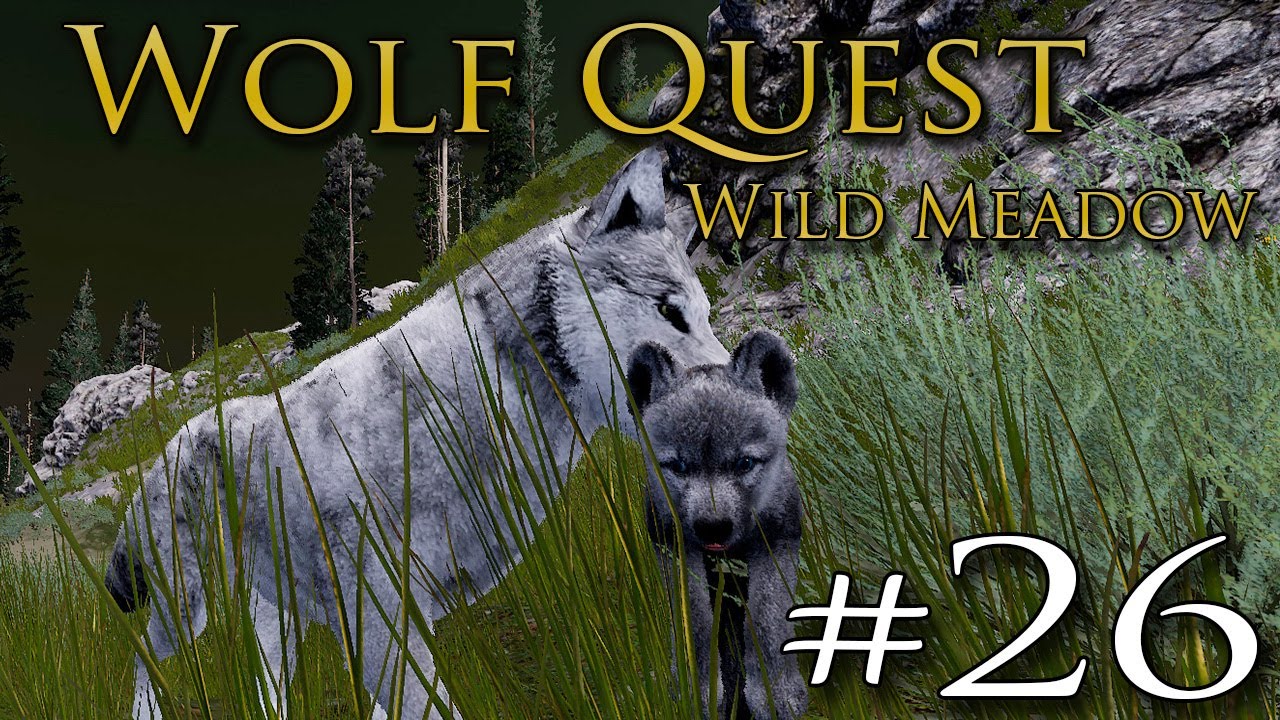 The Hidden NEWBORNS of Spring?! 🐺 WOLF QUEST: WILD MEADOW • #26