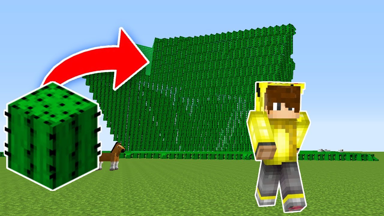 KAKTÜS TUSUNAMİ VS EV #4 - Minecraft