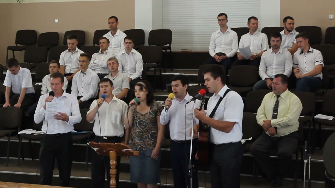 "У дикого гуся могучие крылья"