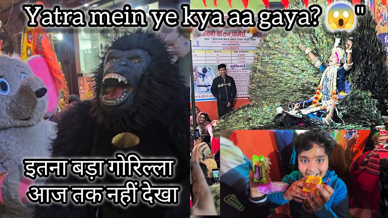 Khatu Shyam Yatra mein mila Hathi aur Gorilla! 🐘🦍 | Kirtan Dance Masti