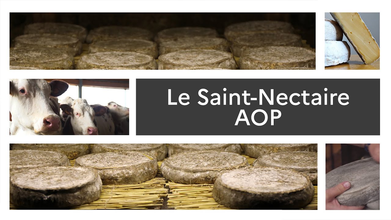 Un produit, un territoire : le Saint-Nectaire