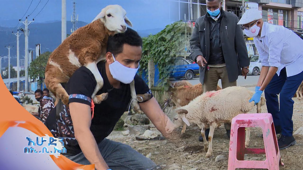 ትንሳኤ  እና አስፋዉ በግ ሻጭ ሆነዉ ያደረጉት በጣም አዝናኝ ቆይታ በእሁድን በኢቢኤስ