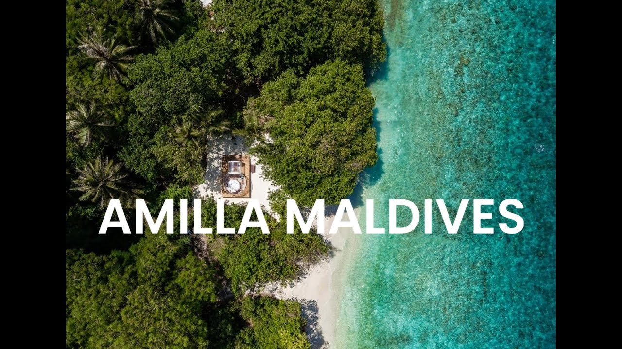Вебинар с отелем Amilla Maldives