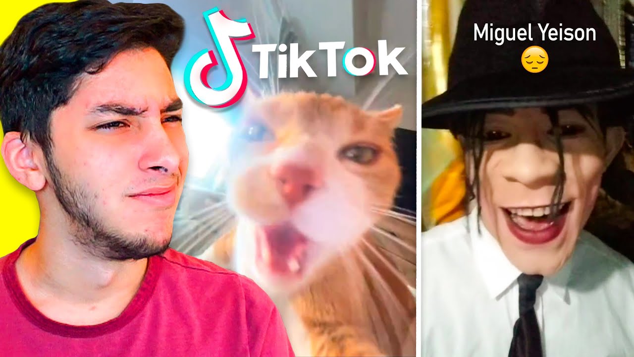 mi feed de tiktok es... muy rara