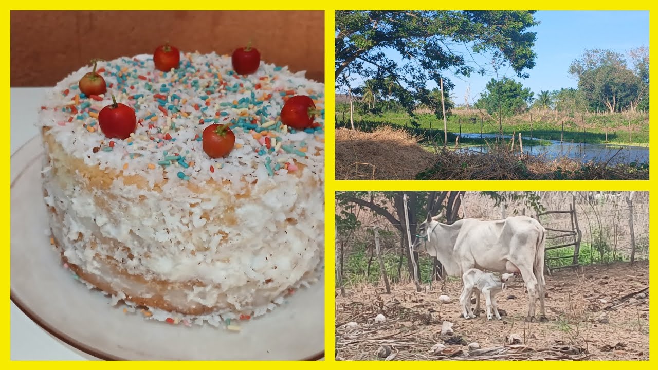 Como fazer bolo 🎂 SEM LACTOSE/pra aniversário/vida no interior 