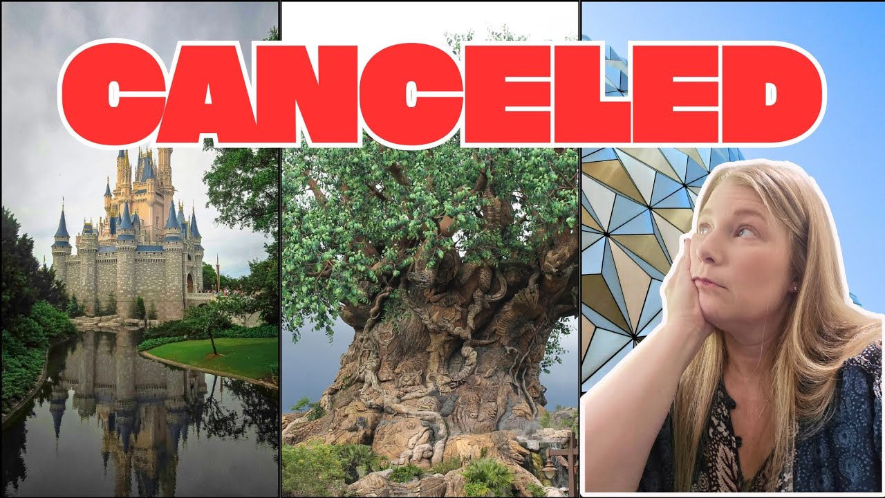 Why I Dropped My Disney Annual Pass