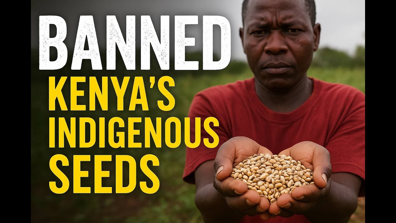 Kenyan Farmers Fight to Save Indigenous Seeds
