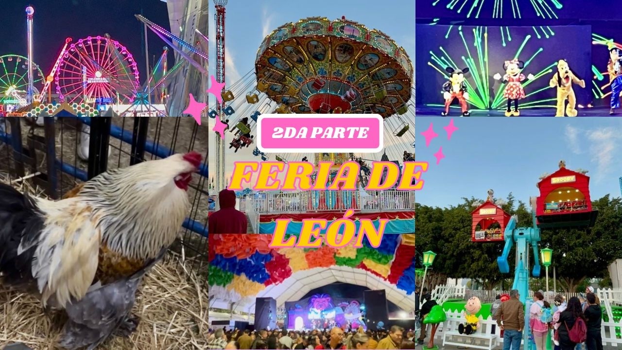 SHOW DISNEY/ CONCIERTO DLD/ANIMALES CURIOSOS