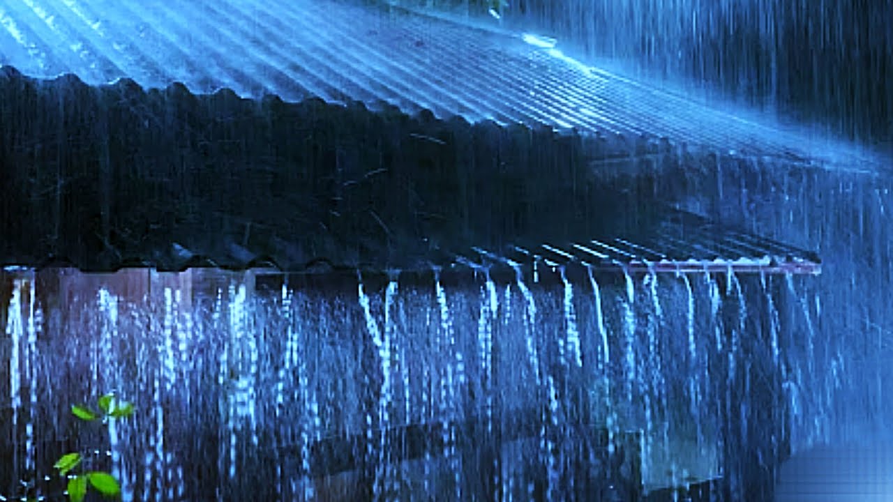 Deep Sleep Rain | Tropical Rain & Heavy Thunderstorm Sounds for Sleeping, Rain Sounds for Deep Sleep