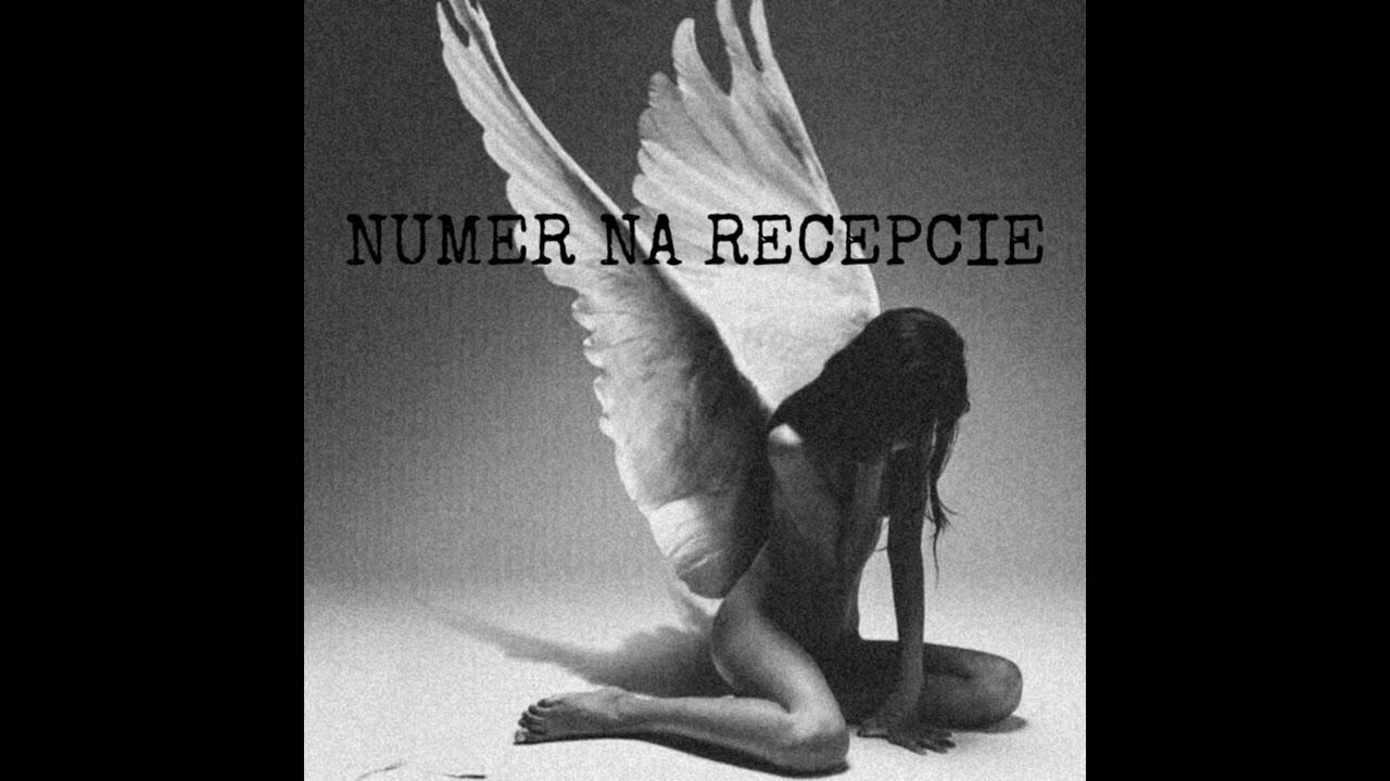 NUMER NA RECEPCIE FT. DOLI (PROD. ZDVCHAM)