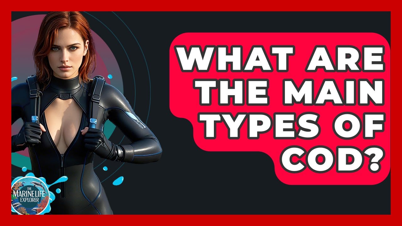 What Are The Main Types Of Cod? - The Marine Life Explorer