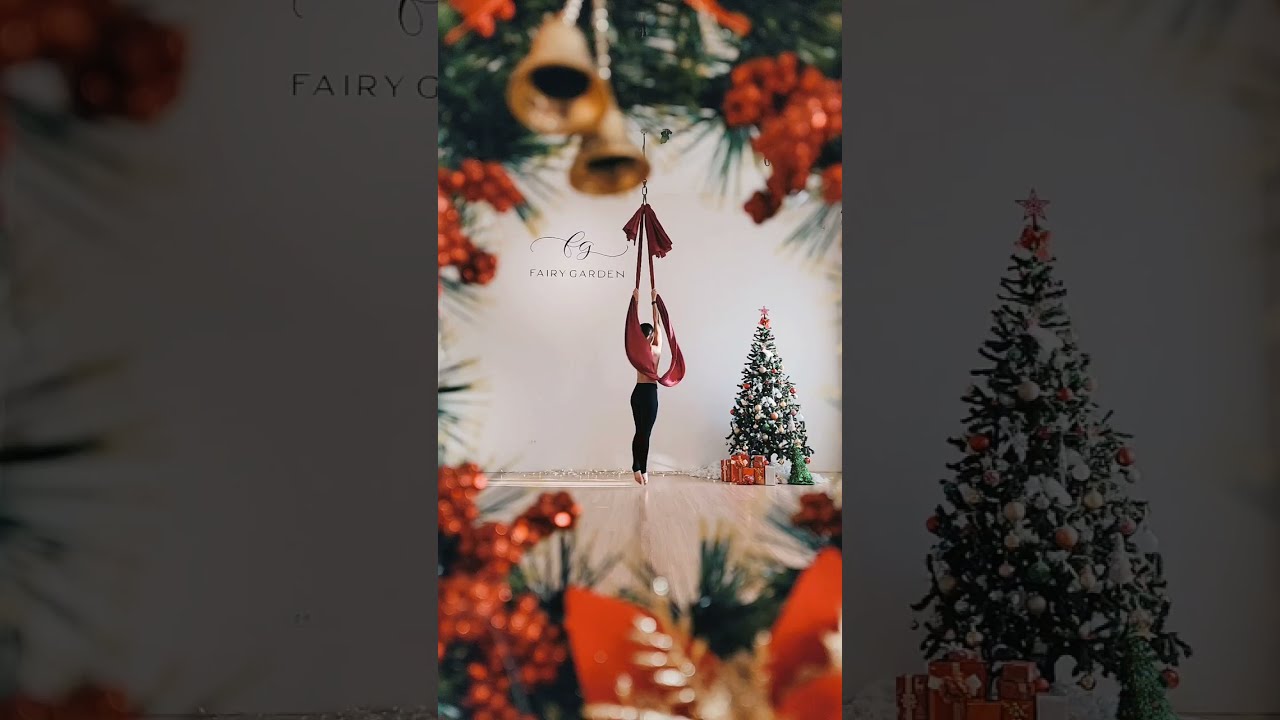 Aerial Sling | Everyday Is Christmas - Sia