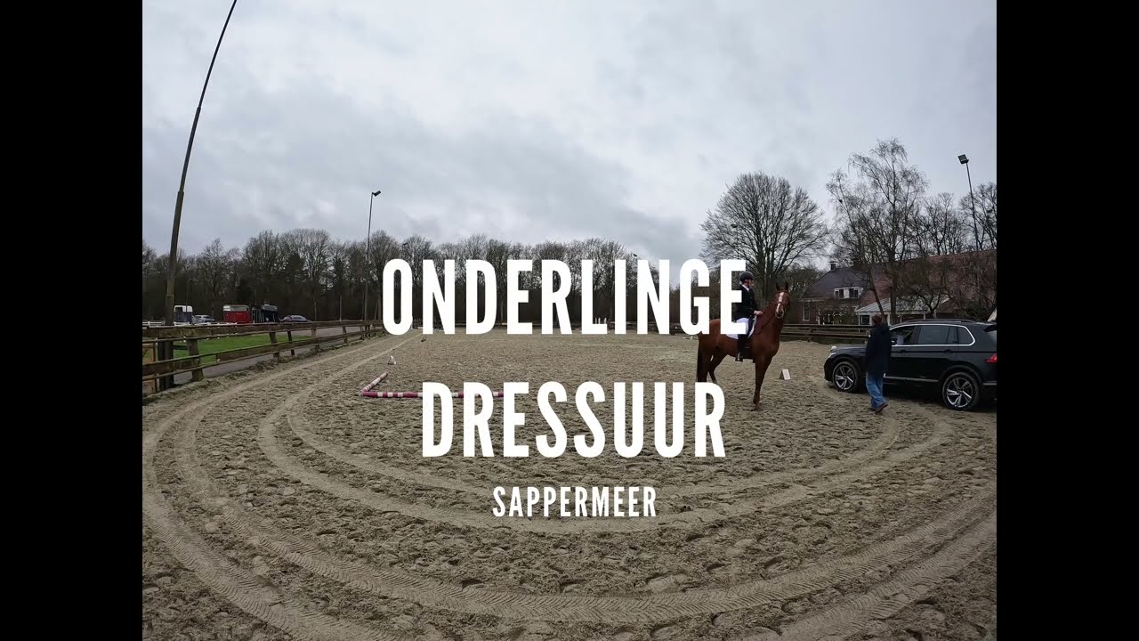 20260314 paardijden Inge
