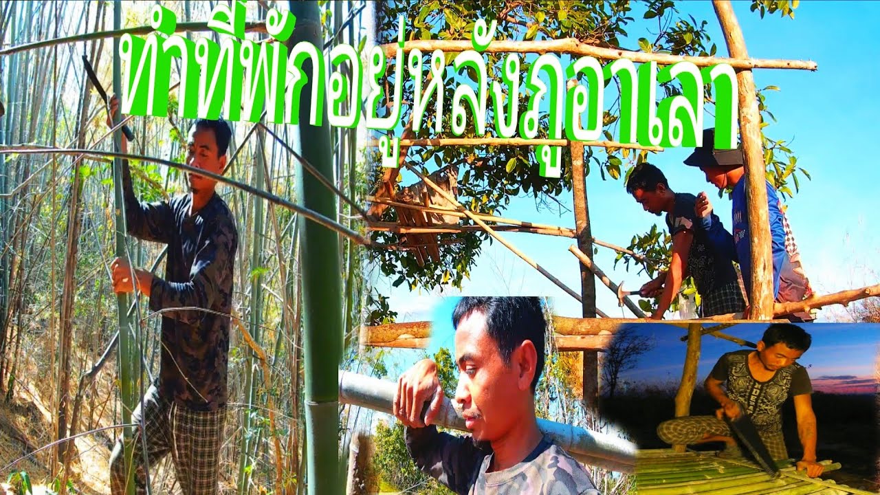 ทำกต๊อบบนภูเขา//ທຳກະຕ໊ອບບົນພູເຂົາ//พราน ทองแท้//8.ก.พ.2026