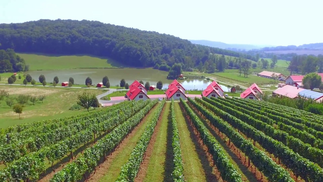 Zselicvölgy Szabadidőfarm [Légi Videó - 2015]