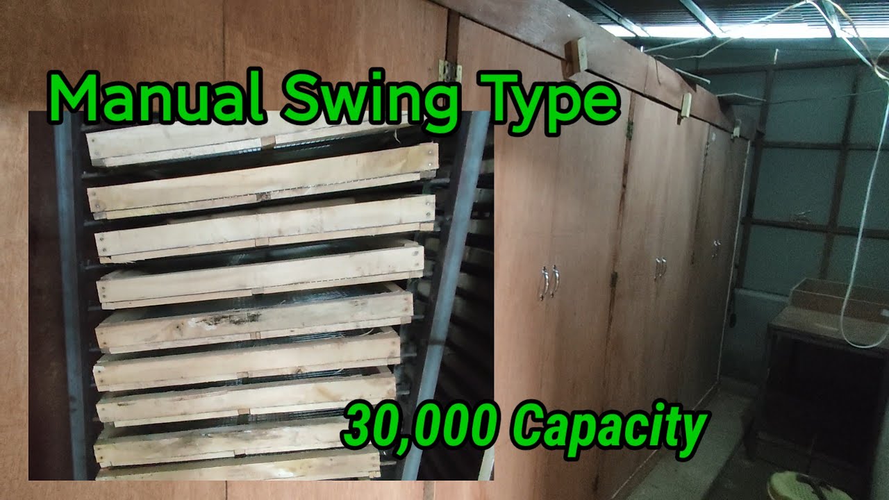 Tapus na din Sawakas, 30k Capacity Incubator for balut business