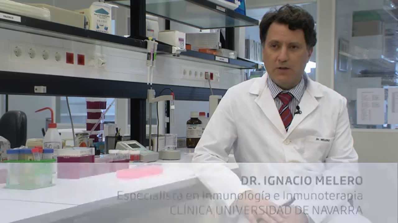 La inmunoterapia revoluciona el tratamiento del cáncer (Clínica Universidad de Navarra)