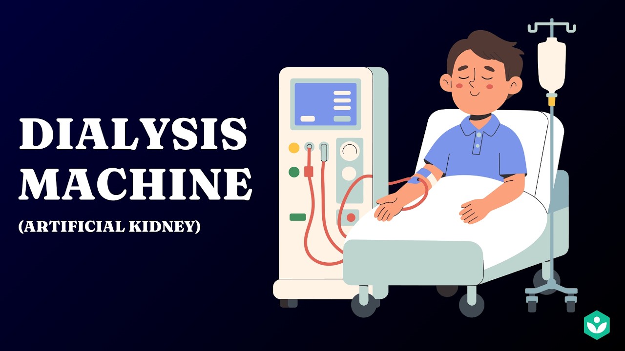 Dialysis Machine (Artificial Kidney) | Excretion | Class 10 | Biology | Telangana | Khan Academy