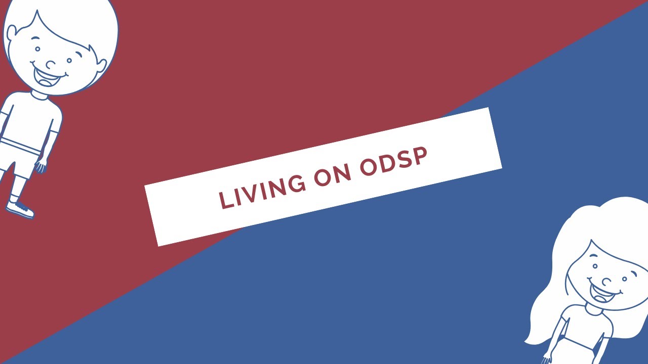 ☆Living On ODSP☆  Anconkton Cash Envelope Wallet Unboxing!