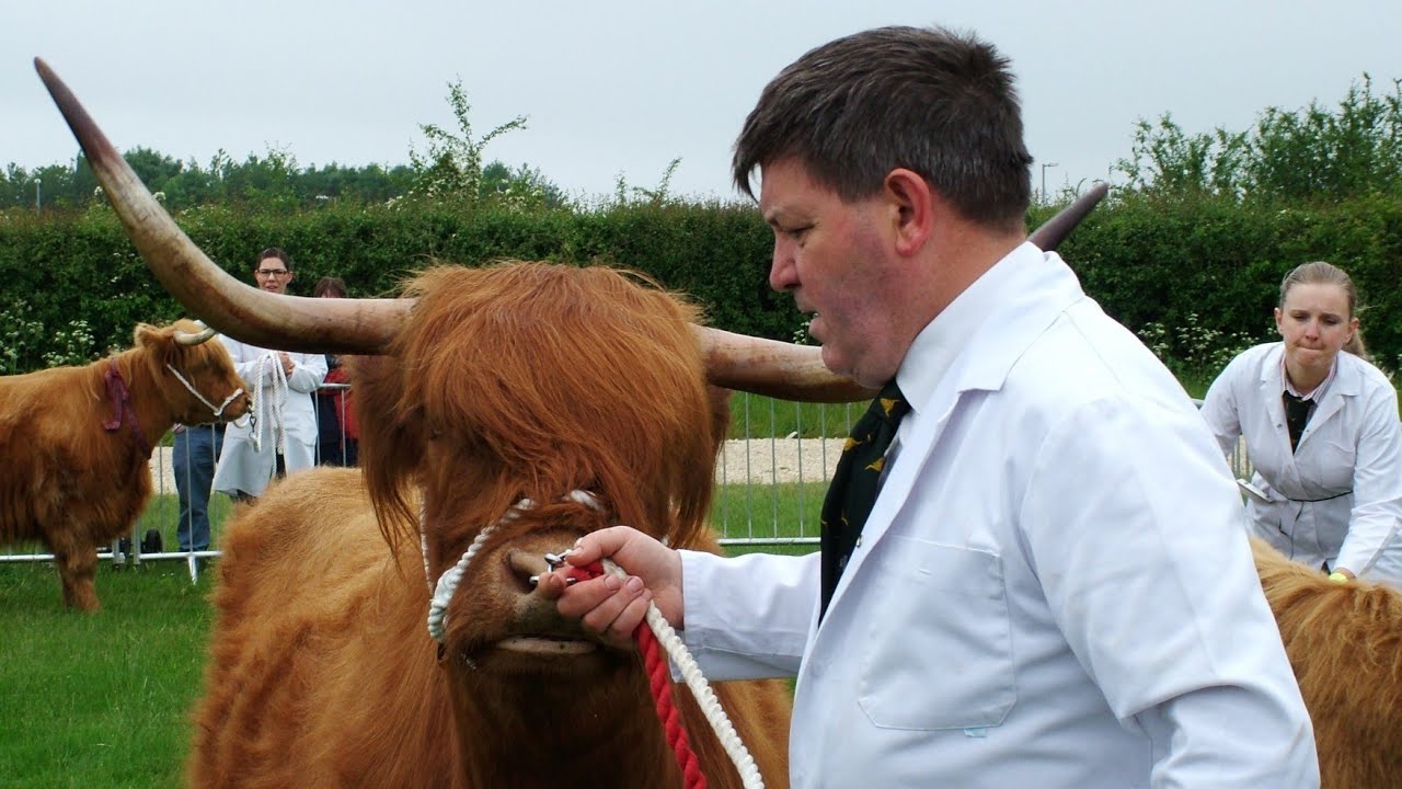 Rutland County Show