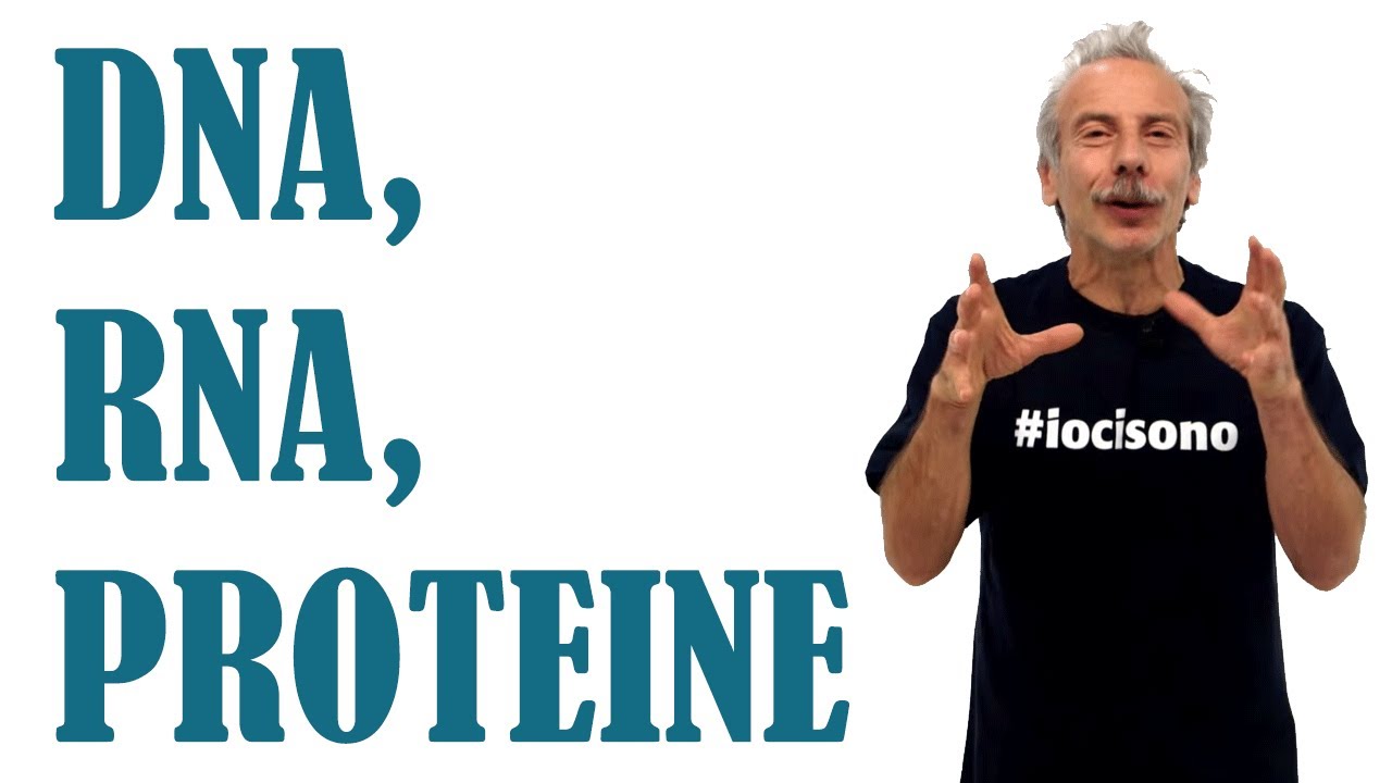 DNA, RNA e proteine - Pillole di Scienza - Aldo Baglio e Giovanni Storti