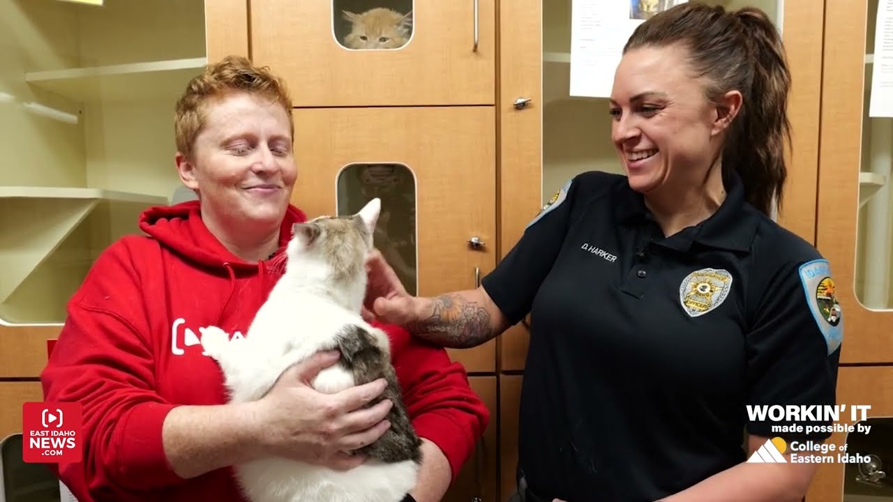 What is it like to work in Animal Control? I decided to find out!