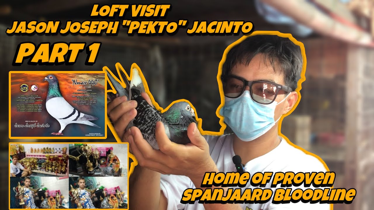 LOFT VISIT SA ISANG VETERAN FANCIER NANG BACOOR CAVITE | JASON JOSEPH JACINTO AVIARY NI PEKTO