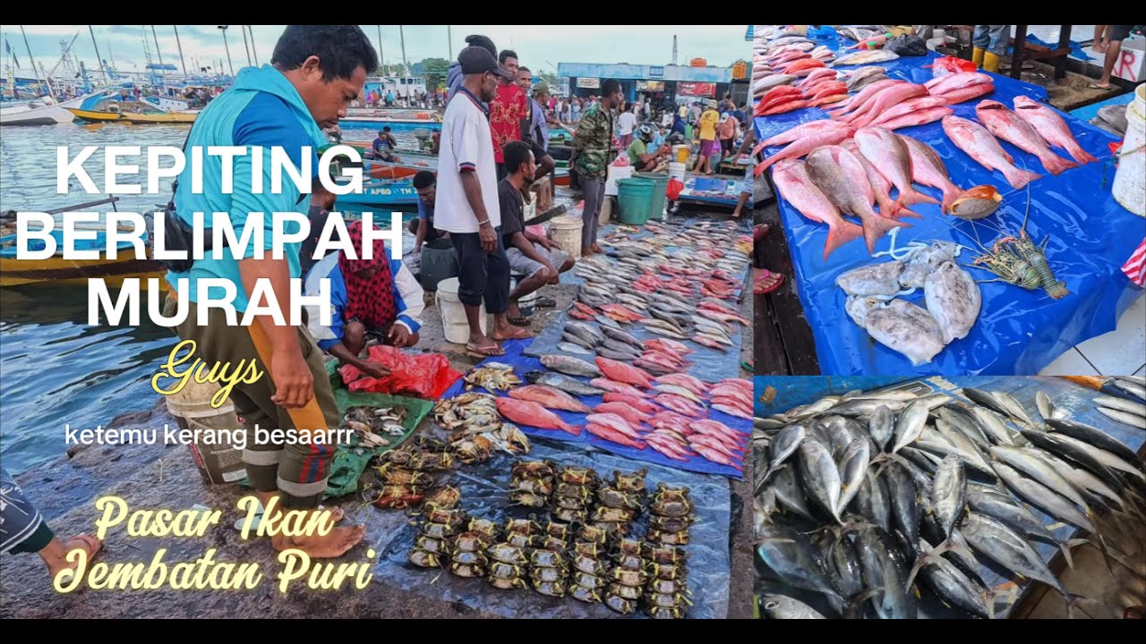 Kepiting Berlimpah. Ketemu Kerang Besar Banget. Update Pasar Ikan Jembatan Puri Sorong #papua