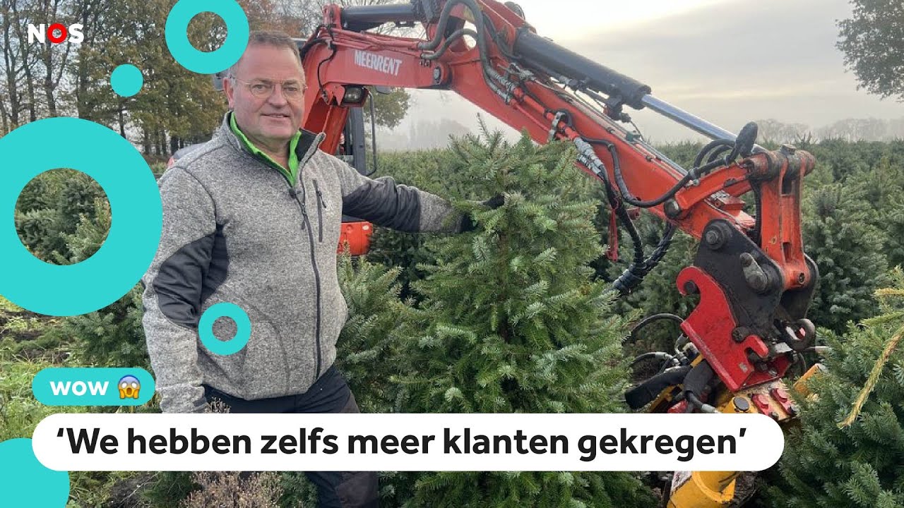 Duizenden vernielde kerstbomen toch verkocht