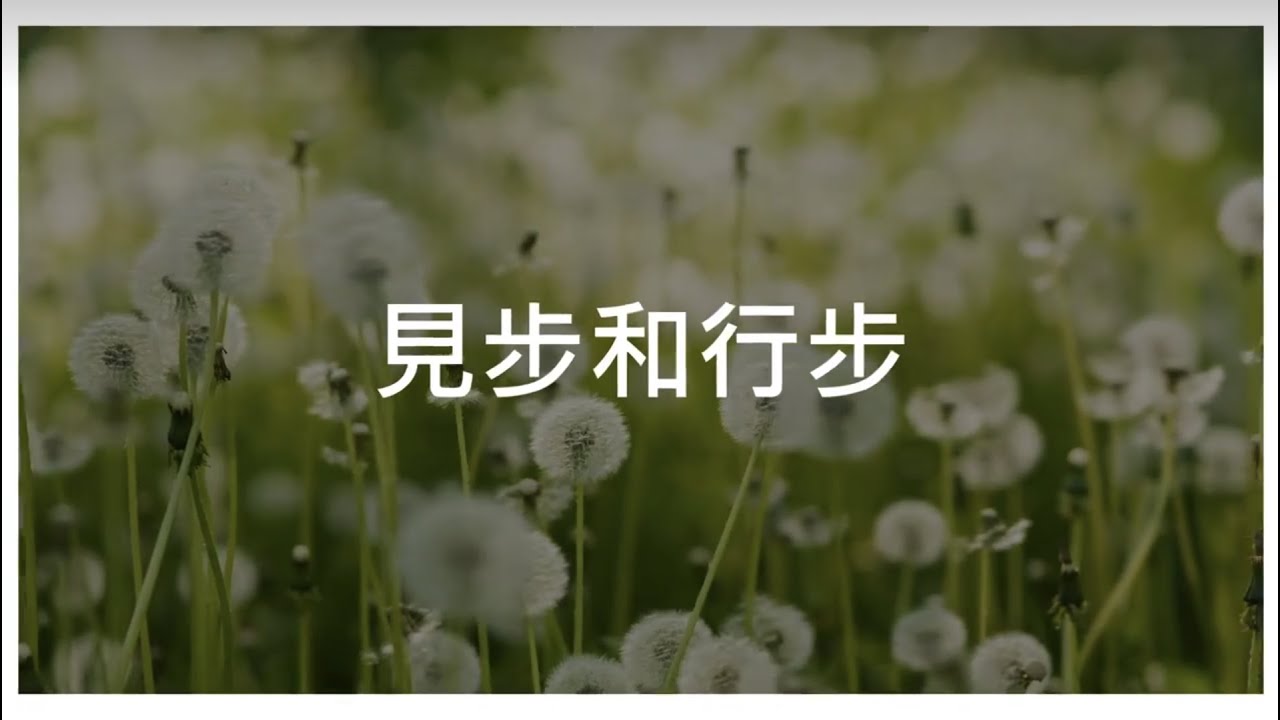 見步和行步 - DEMO