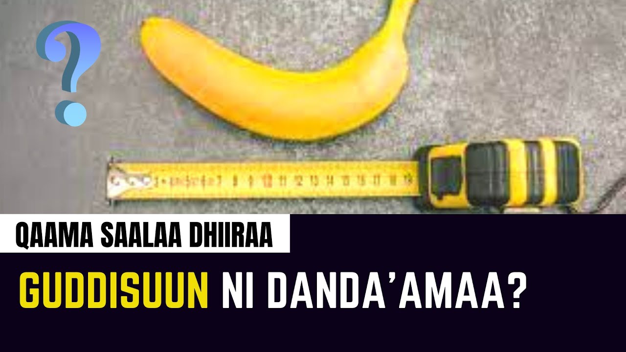 Walquunnamtii saalaa 2021- Qaama saalaa dhiiraa guddisuun ni danda'amaa?- Dr Daawwit
