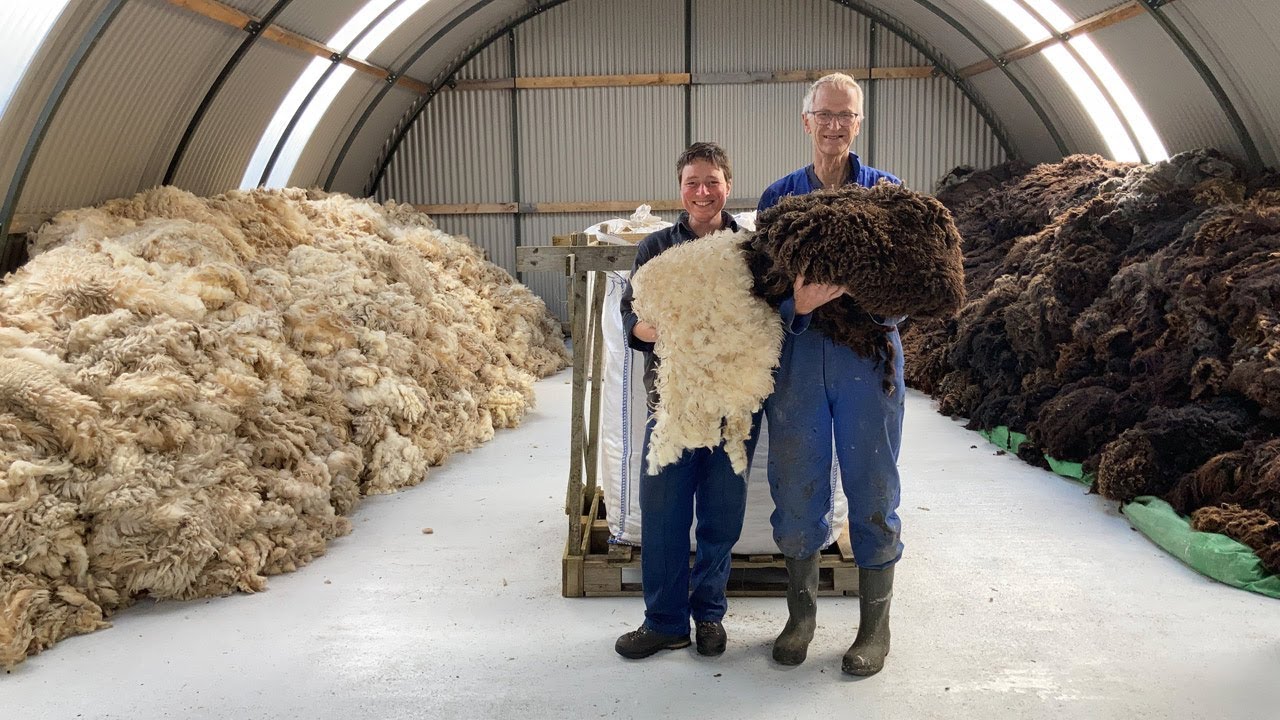 Skye Wool: Fleece to Yarn Story