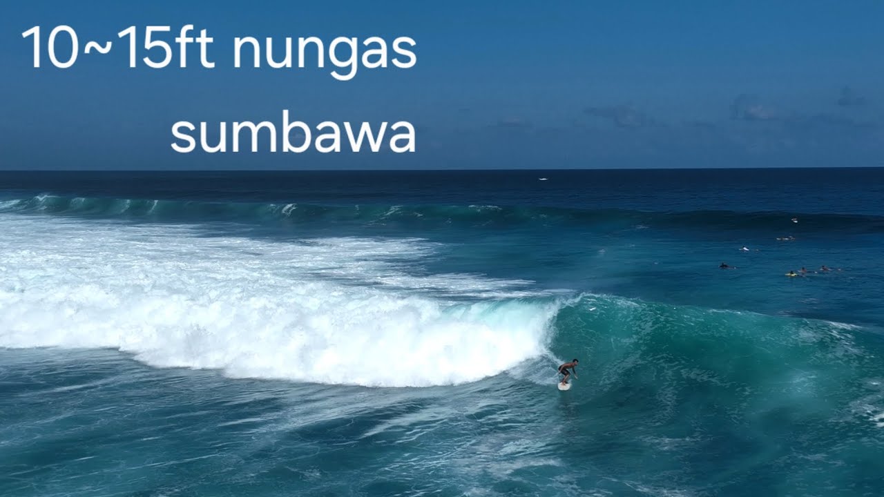 10~15ft Nungas sumbawa