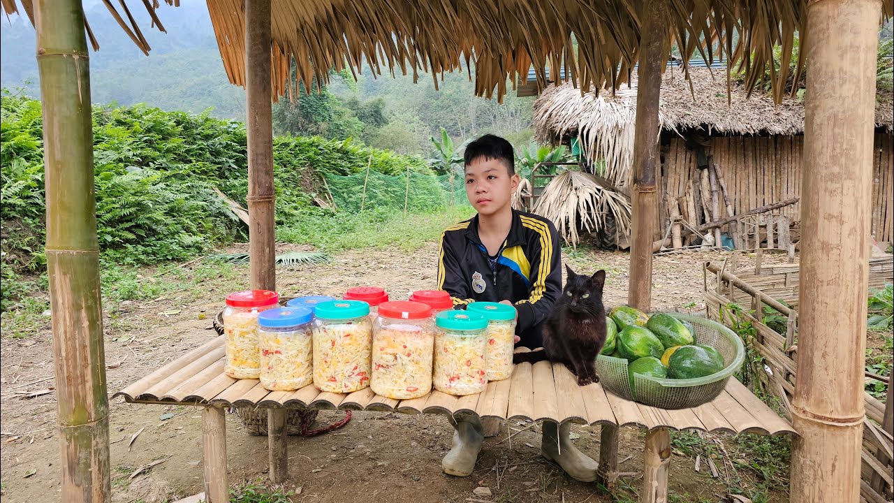 The Orphan Boy went to the forest to pick Papaya fruit, picked up a confused cat and took care of it