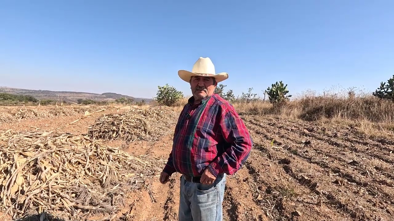 mirando la milpa con mi tio chepe