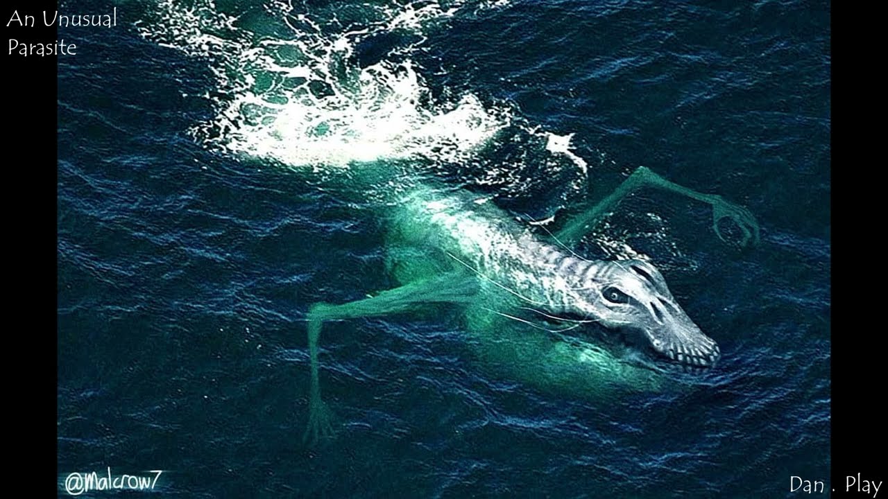Voices and sounds of malcrow7 creatures (part 7)
