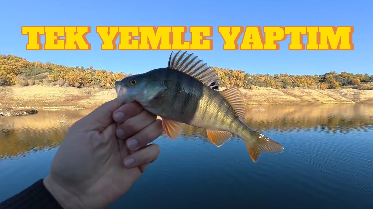 BAŞKA YEME GEREK YOK! I Bu Sahte İle 3 