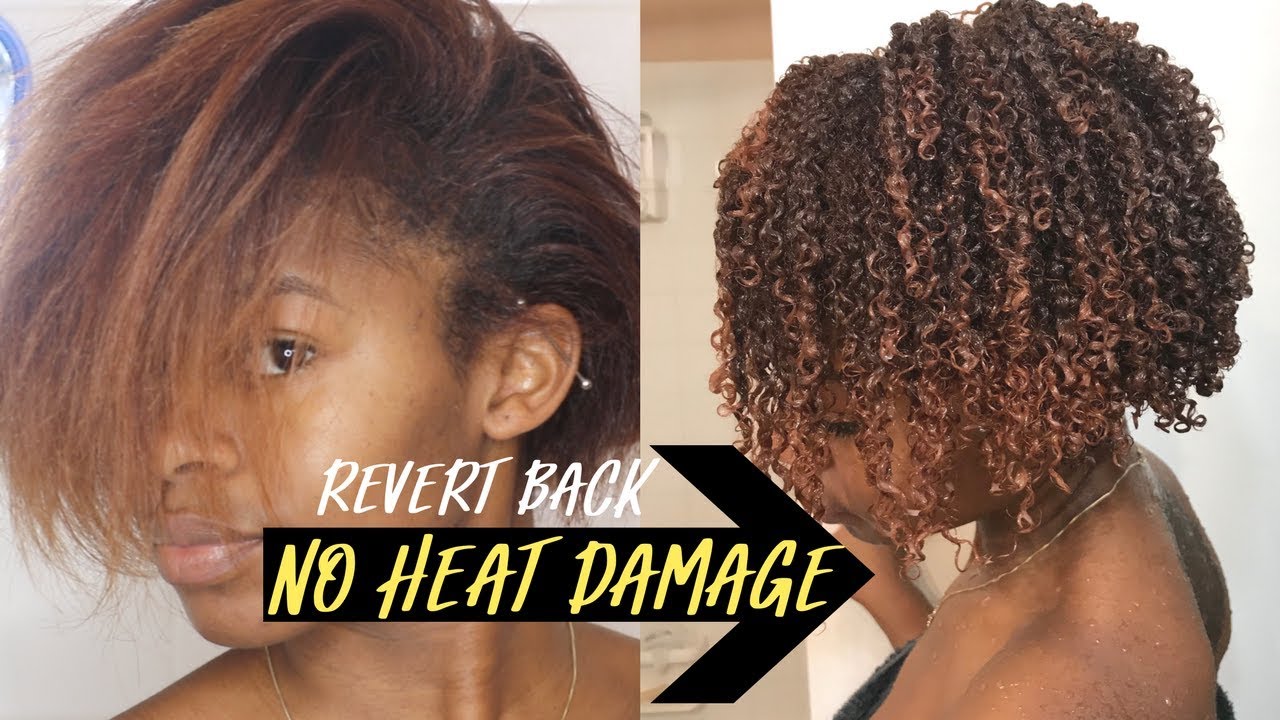 Revert BACK To Natural After Straightening It w/ NO HEAT DAMAGE (For Natural Curls Only)